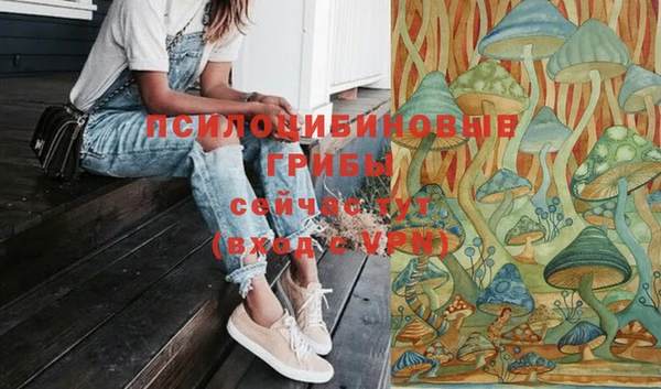 экстази Алексин