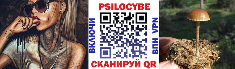 наркошоп  blacksprut зеркало  Псилоцибиновые грибы мухоморы  Кудрово 